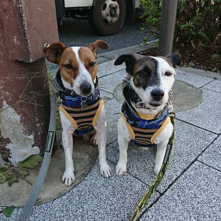 E3fe38bf eceb 48ff b259 a892a26b60f5 1538430649434