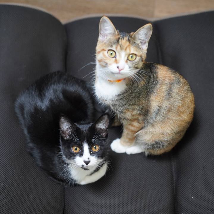 E3fec455 25ea 4ab5 9c03 108a17980510 1577457618912