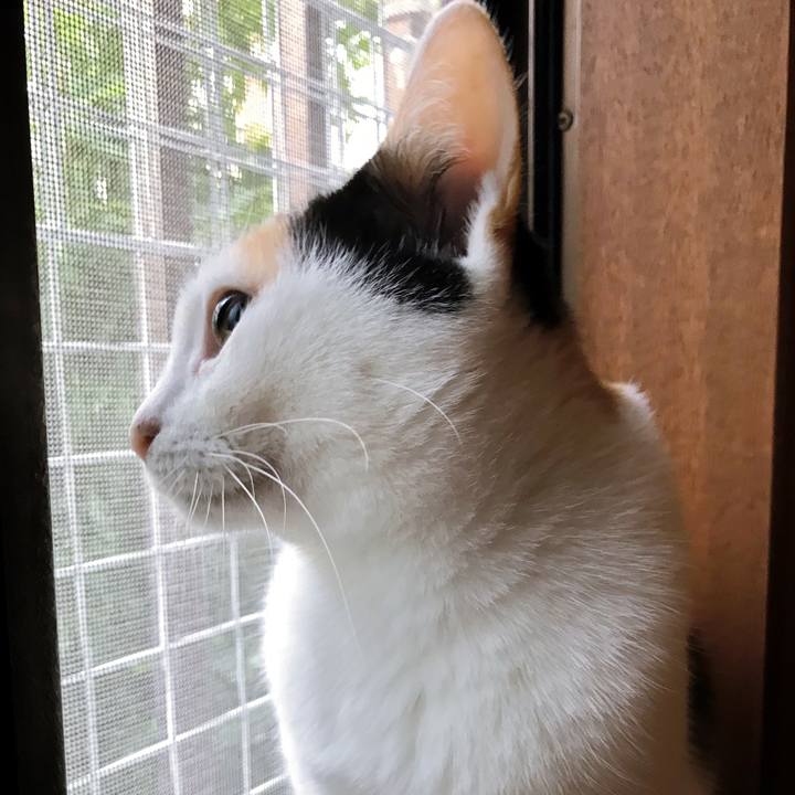 E3fecaf2 7b5b 421f a05c deb3b39f530d 1508299175352