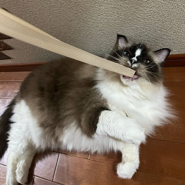 E3feda50 d5b4 4354 a1d1 12ef80242a06 1728391914927