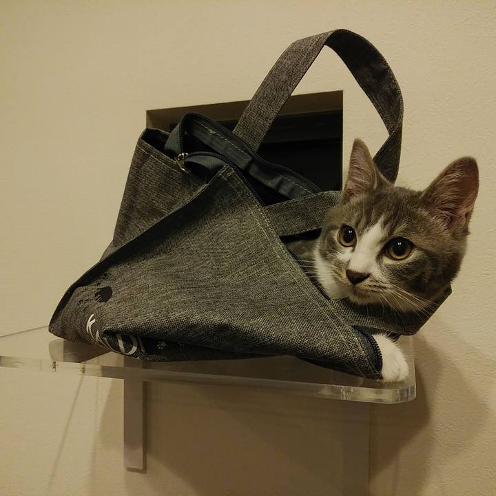 E3fee4e9 a497 42d7 8268 947b93f54f4e 1566825212517