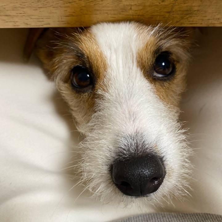 E3fefab5 ebaa 4a7f 9e9c b70287b6977b 1743509175037