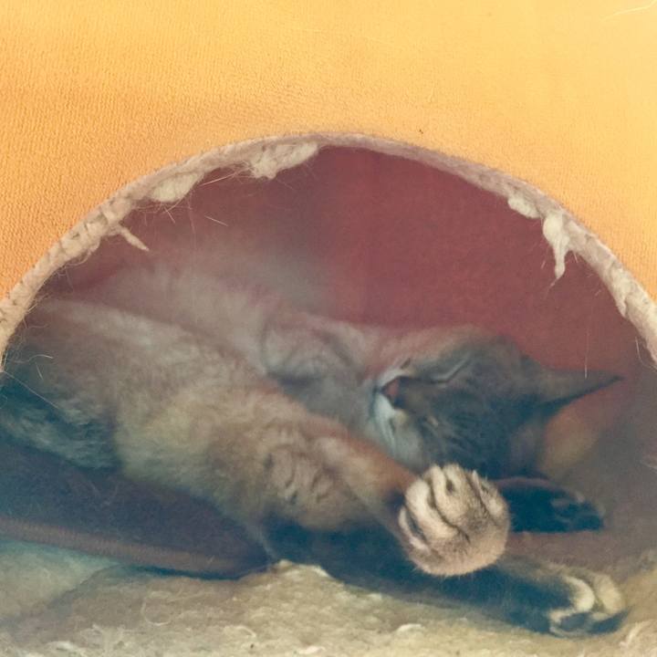 E3ff0b28 6152 44bc 8cdf ceb50c8fb17f 1588471921564