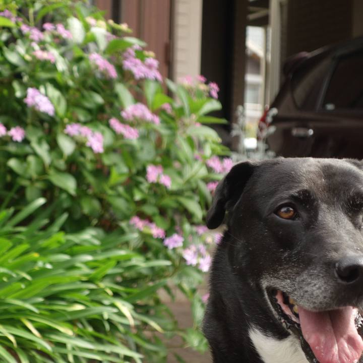 E3ff1a40 2d59 491a b432 013c51529611 1685061686906