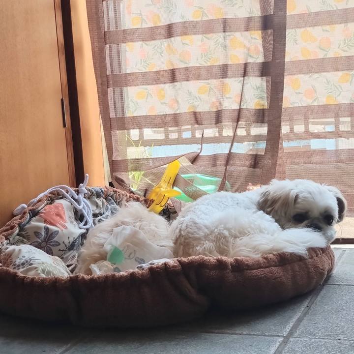 E3ff33f3 cadf 4fdb b016 3780259583ad 1749278383205