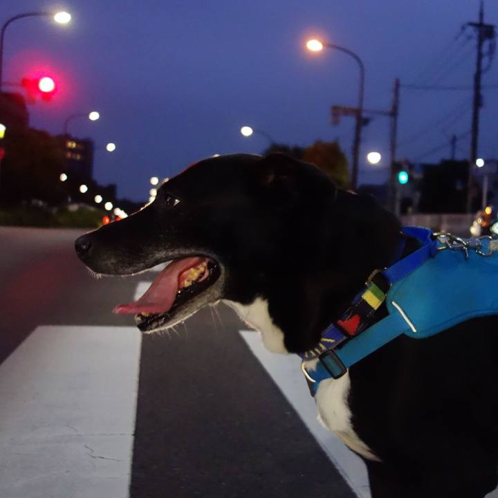 E3ff35a8 730c 4f2d 90d5 bf252a2d4487 1687517611388