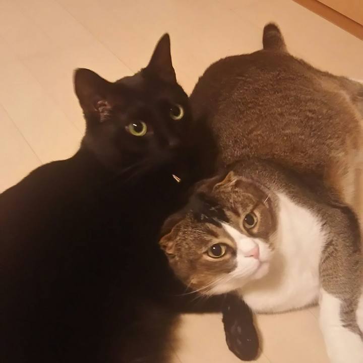 E3ff7372 21c8 48f7 9460 09fa6efc4b8d 1524918498130