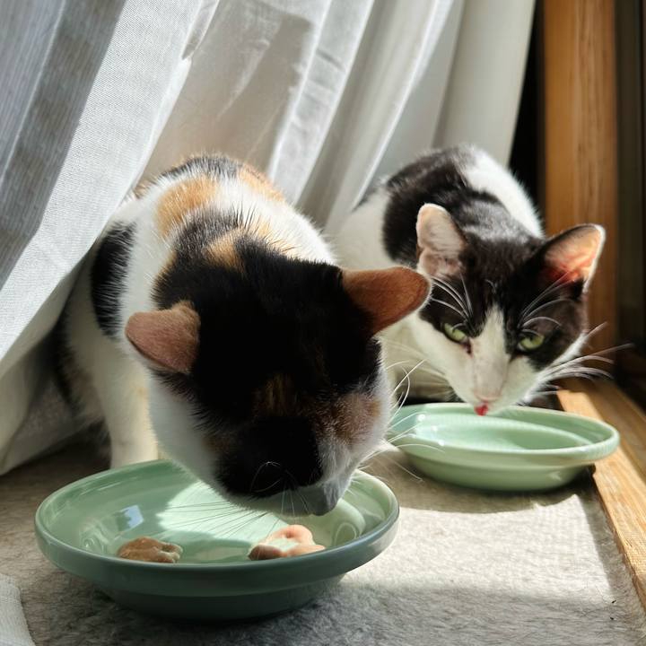 E3ff74f5 803b 467e bc43 b3682f41b744 1665624366155