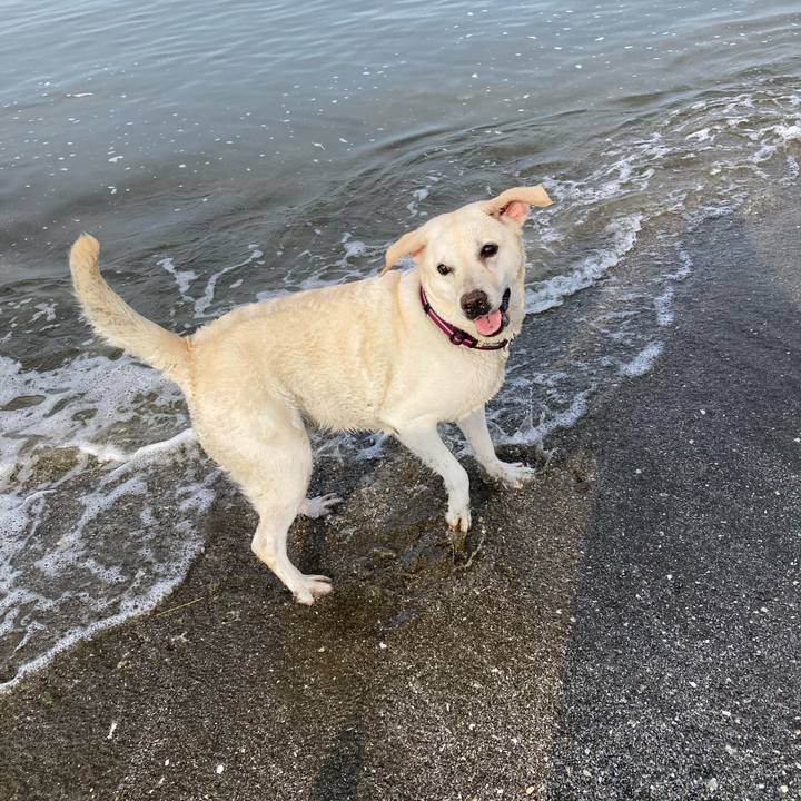 E3ffc90f 094c 496b 9d8f 9f2c81870e80 1695219006183