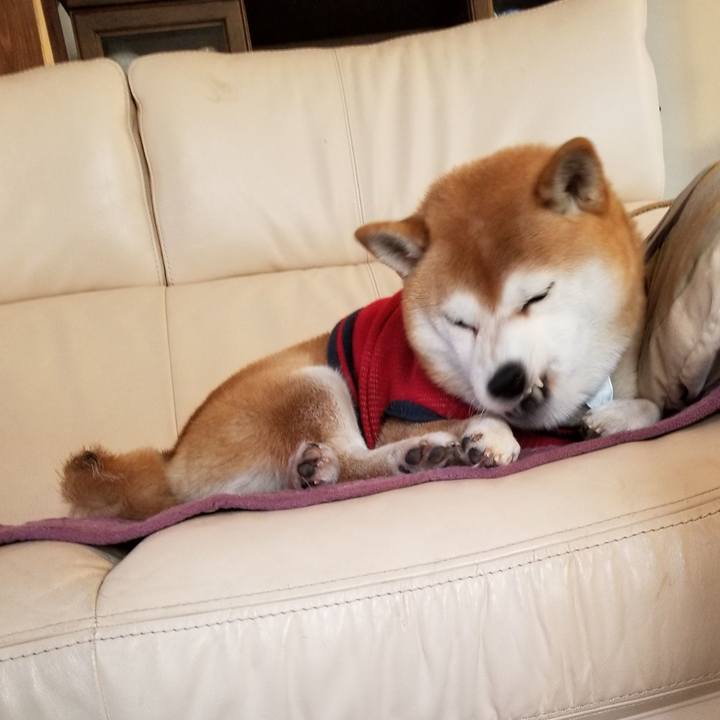 E3ffcda8 4303 41e2 9517 7be16178f6ac 1607123839892