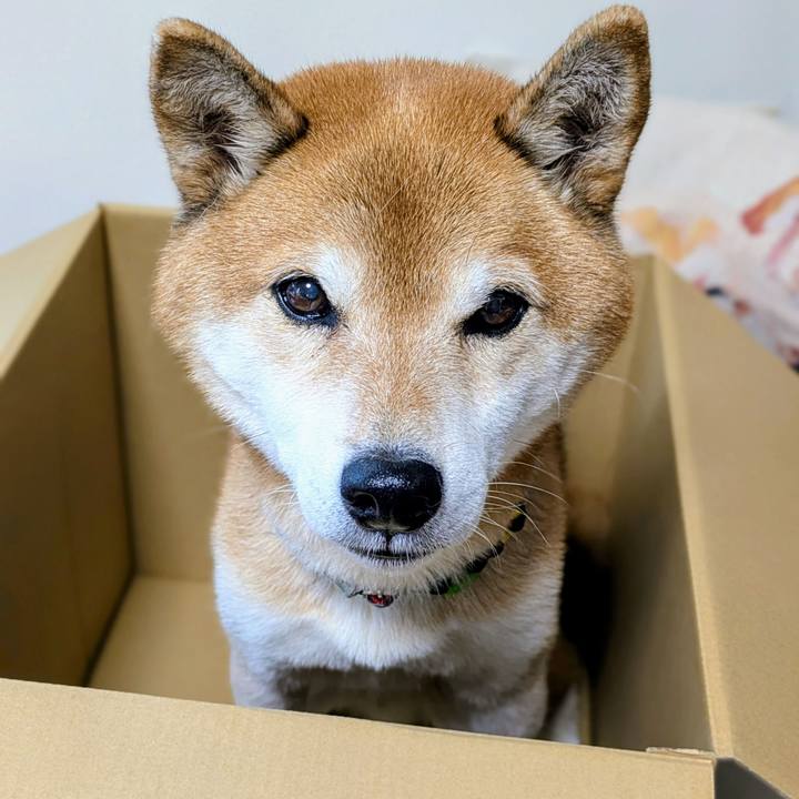 E3fff654 be7e 4934 adb5 57e0140ec936 1764217222153