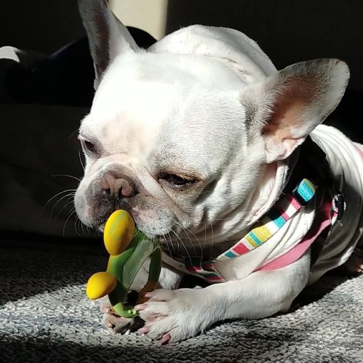 E4001ef4 ef98 4cf3 aa88 c3f80581548a 1641953447281