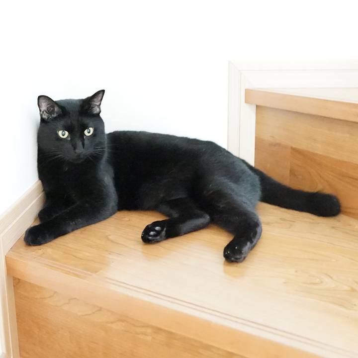 E4002d9e 0f55 4a28 9866 9f07d59f5ed3 1564703551105