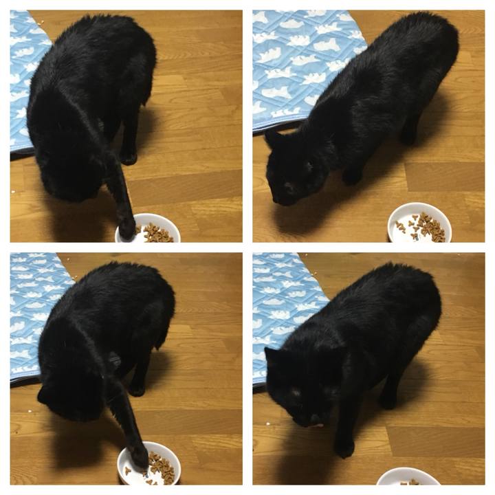 E4003d5f 1a89 4ceb bb25 2d97dcbb9544 1538221271232