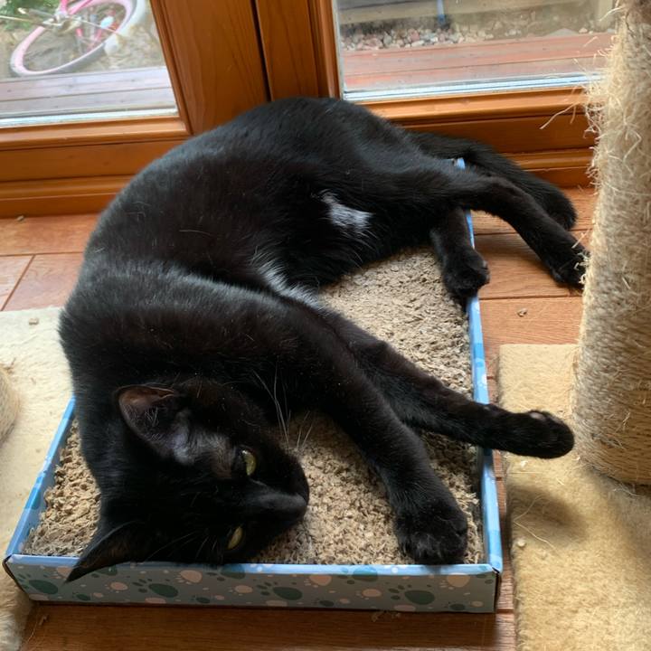 E40043f9 c4d9 475c ad92 d0e164063256 1586054238222