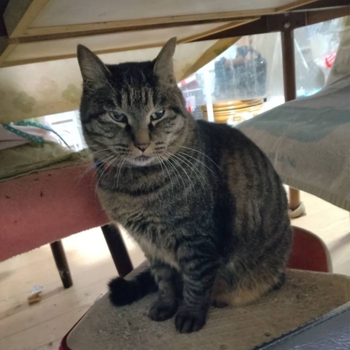 E4007bf0 aa17 4eb6 917d e96d9db9497b 1702797567969