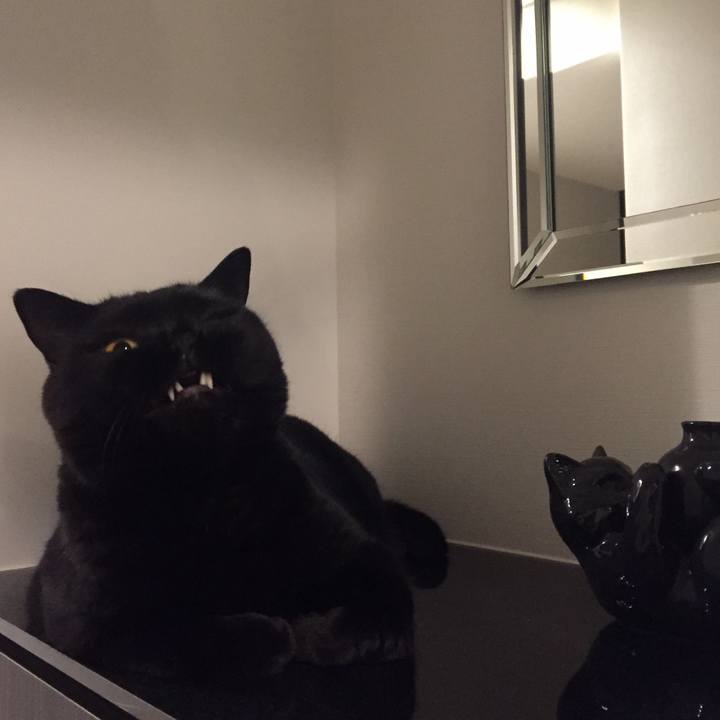 E400dd6c 1a8c 46a0 86e3 da786cc09a18 1568812062341