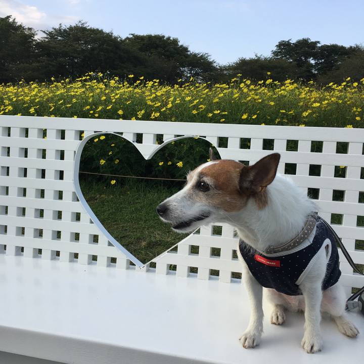 E401480d 37e3 4411 b841 3ed0be704d07 1600989859533