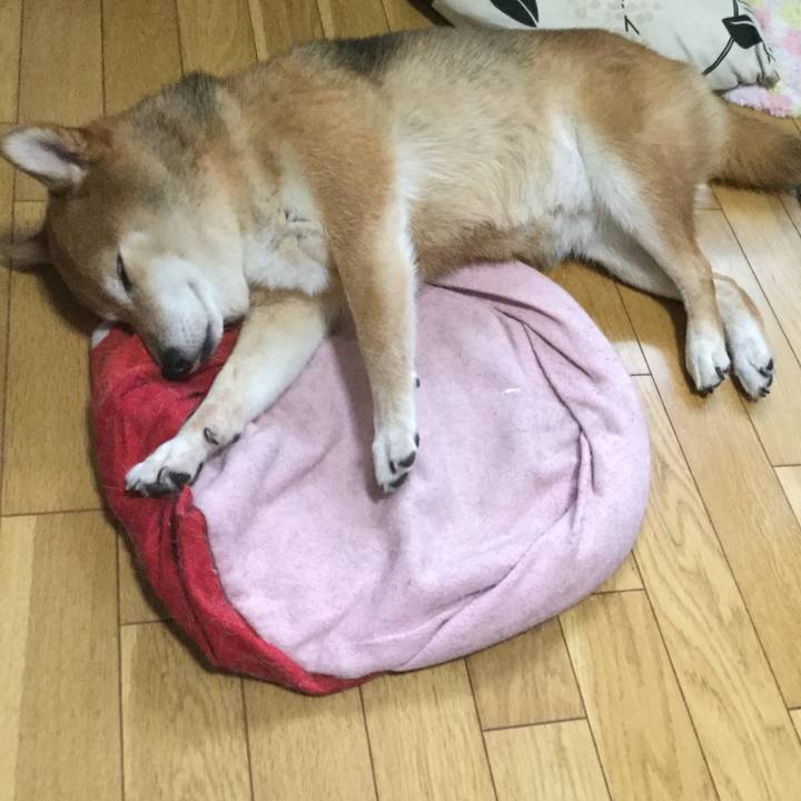 E4017ba5 ad7b 46ab 843c 76bcd065076f 1595928193736