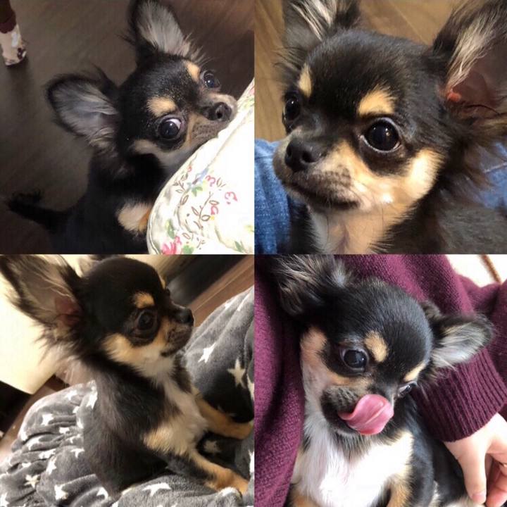 E40180cd 113f 45b3 a63f ab39752d4c17 1571211825062