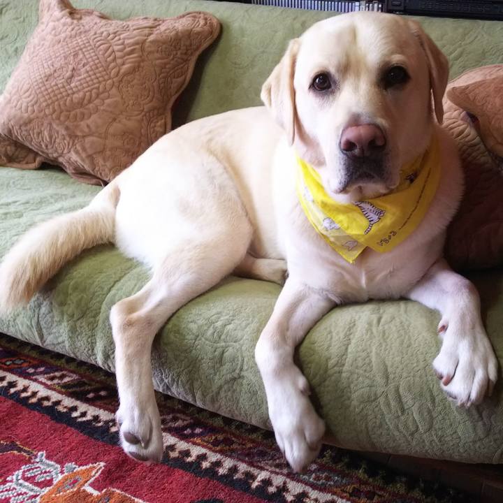 E401be9d aeb0 42d3 b69d 901924367c58 1541985222399