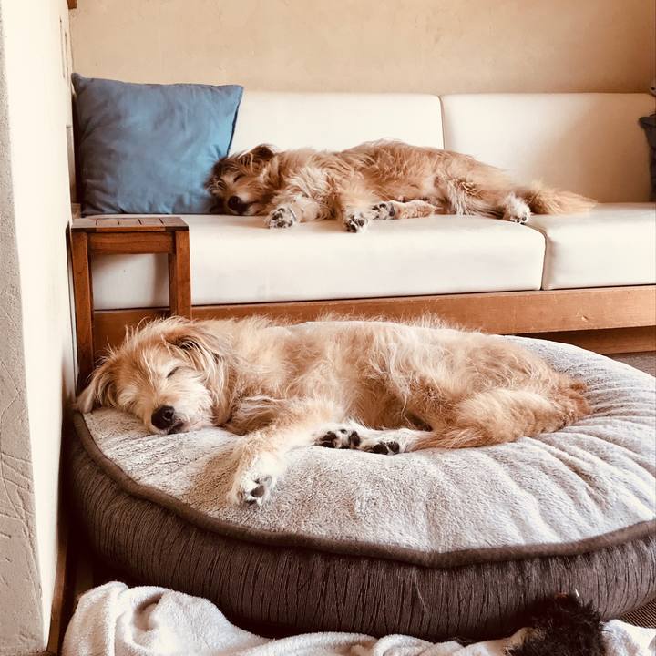 E4020ab4 22bd 4d28 b168 ab7d1fb279f8 1582255394512