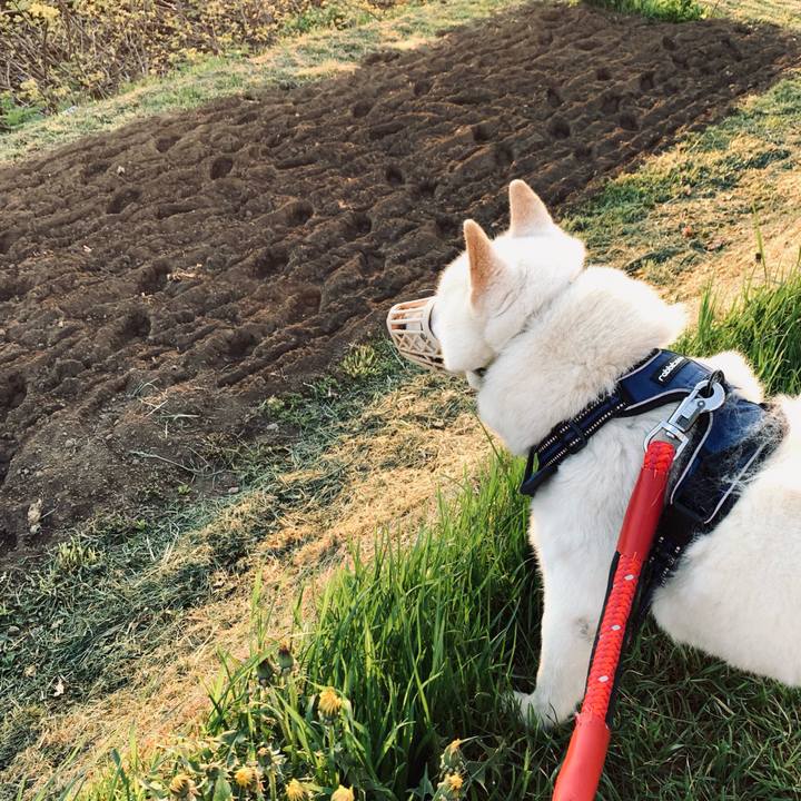 E40274bd 56e9 43c3 8a93 78b109b51f35 1652731891727