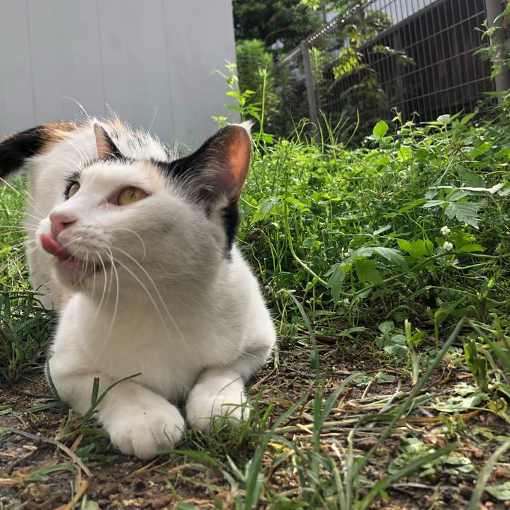 E402a7ed 193c 46b9 b979 e1ac8b00cb1b 1628982855849