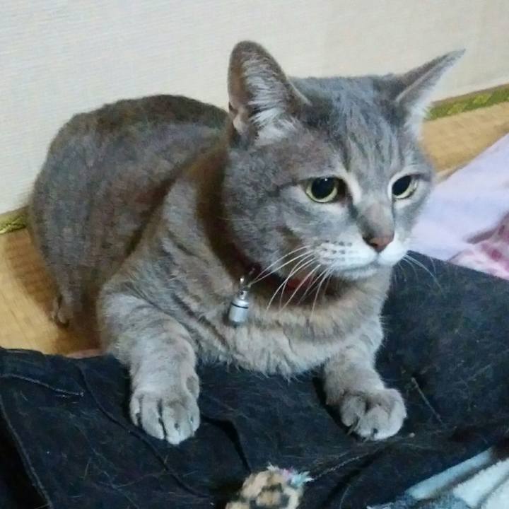 E402b07c 8ff0 4a4d b66f b18d4dd89fd2 1523292639139