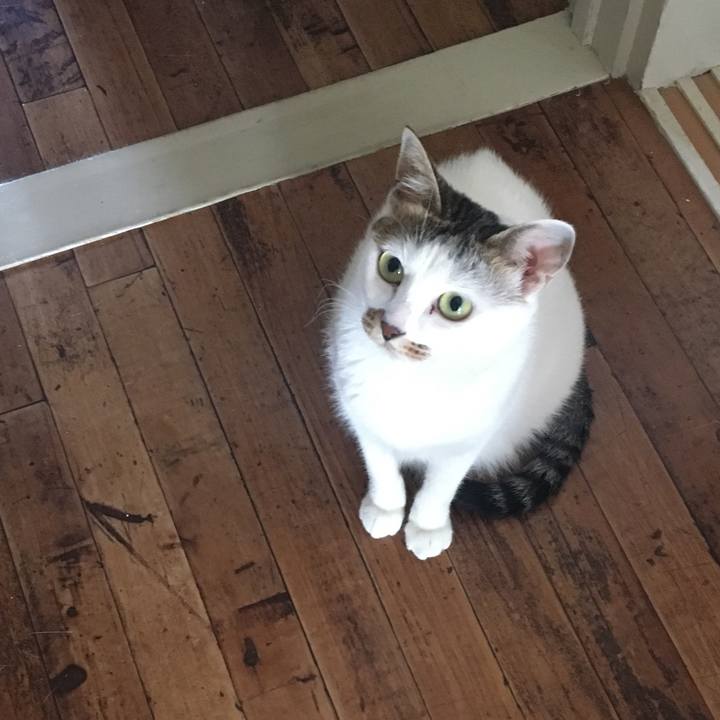 E402b3e0 f8fb 4c93 bd5d 2c88982449f6 1536813841934