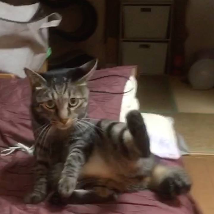 E402d405 066f 4ed4 b9dc a7b049cc88aa 1574428634042