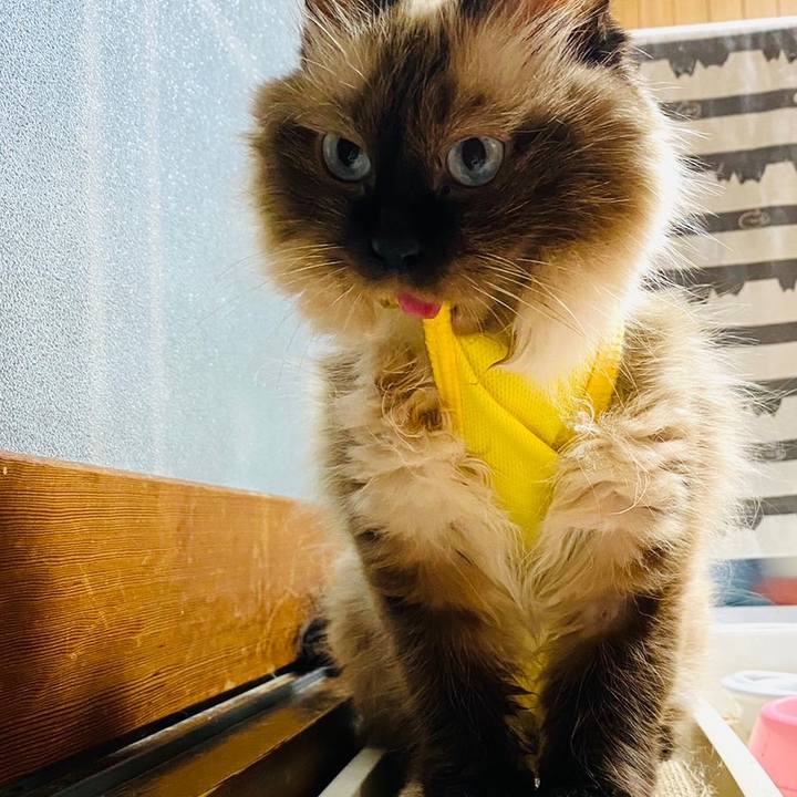 E402f093 5a67 48f0 ba22 481ab1007ec5 1694345883235