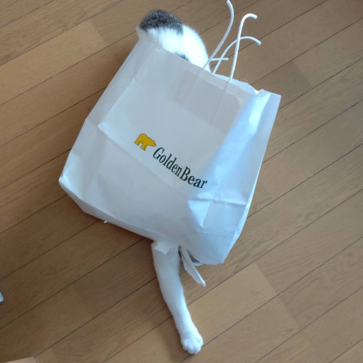 E4032041 8dfc 49e0 aed4 933489153f02 1695518770330