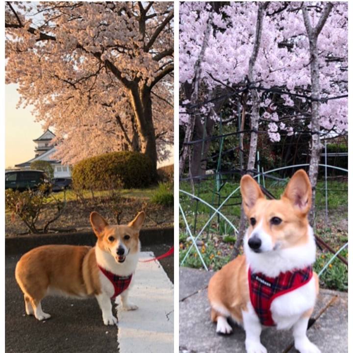 E4033d7c e7d7 4bf0 9ea9 d5b3be549f6e 1680589741670