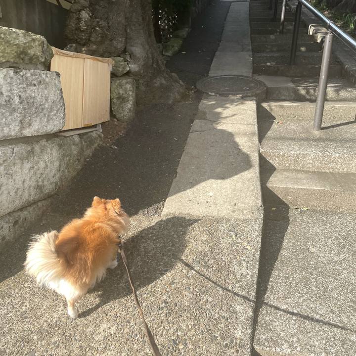 E403519f ba53 42f9 983e f189650b19da 1760828237988