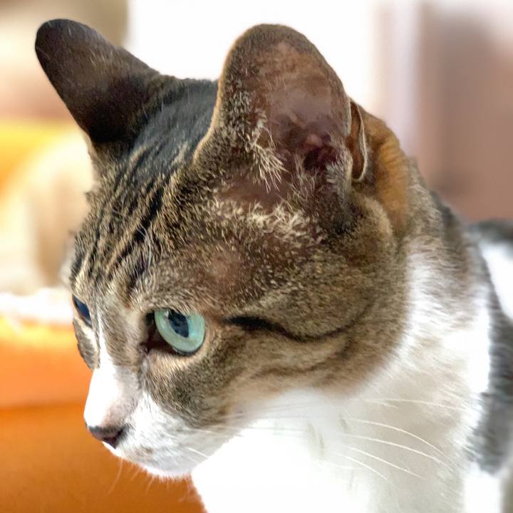 E40355df 9c64 4836 ae5b f26177a11dc9 1593825519345