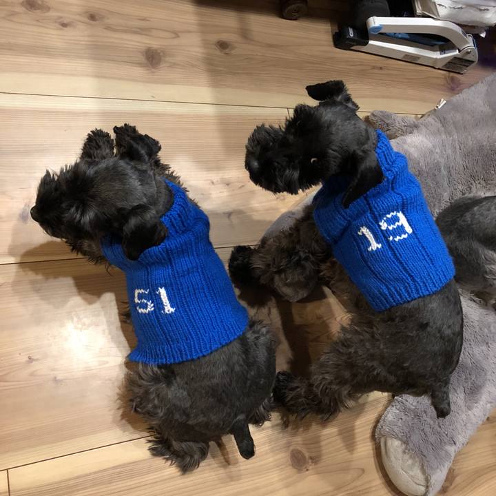 E4035c04 6ed2 4aeb a594 8b3dcd708f48 1514119749576