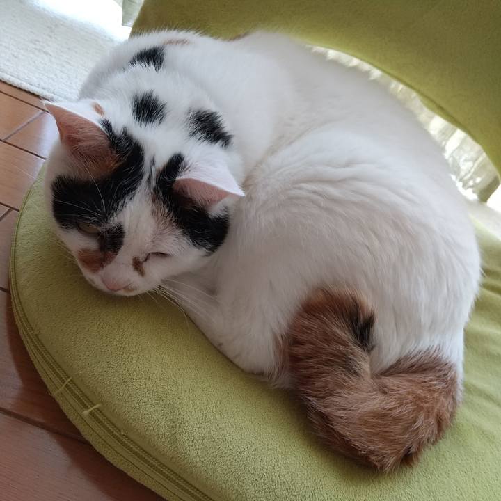 E4036352 efb9 415e bd36 8b0192e10f50 1601593179303