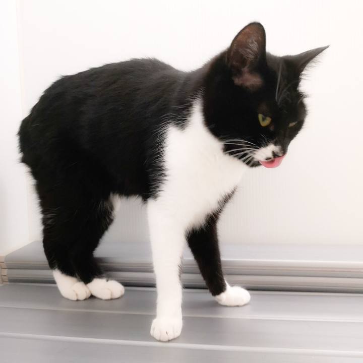 E4039c7f b9df 4d12 a8da 03d84672cf6c 1556470476084