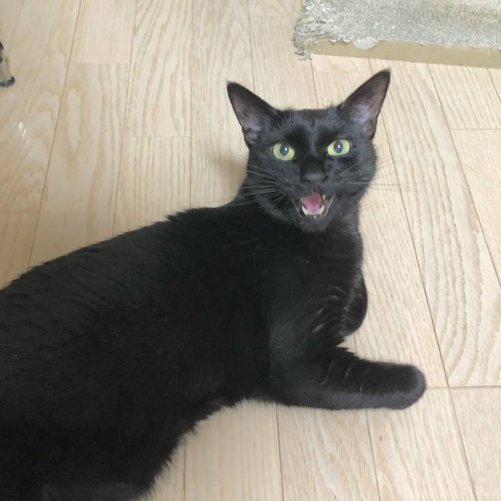 E403ae4c 8e6f 4192 a40e e628129bb551 1611062548747