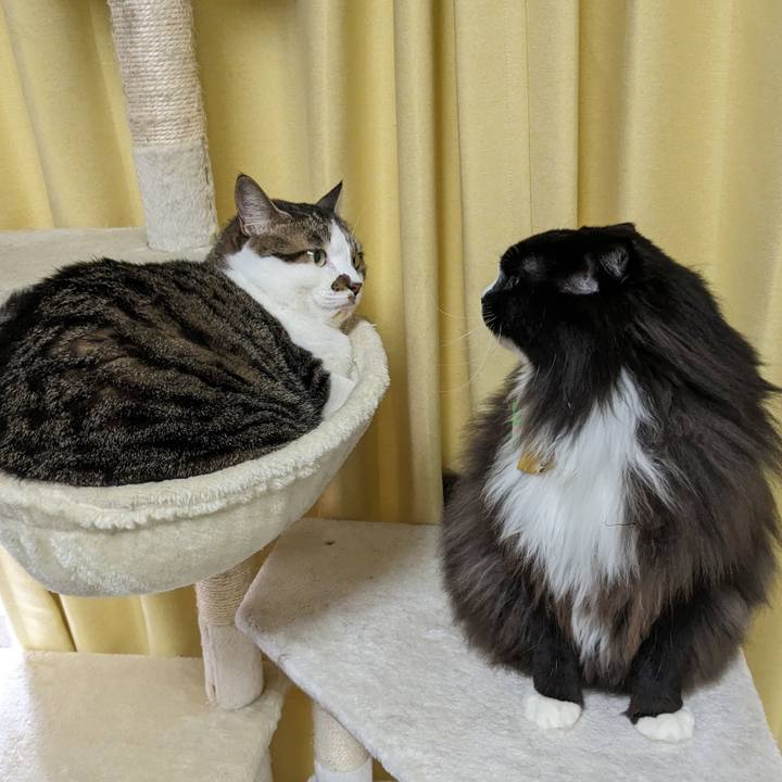 E403b669 92df 4287 843a a371b31c2988 1693699289825