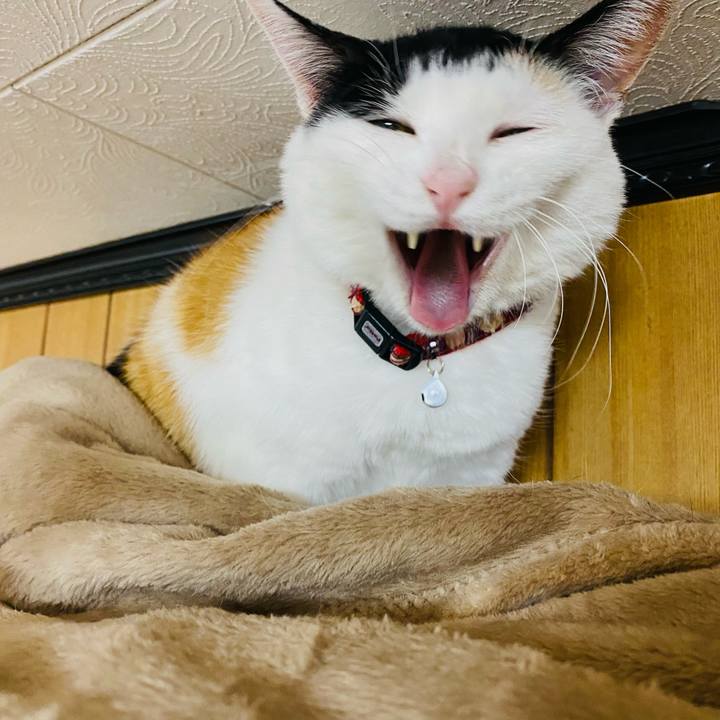 E403be56 6901 409d 80ac 80b308e7b45e 1674046106490