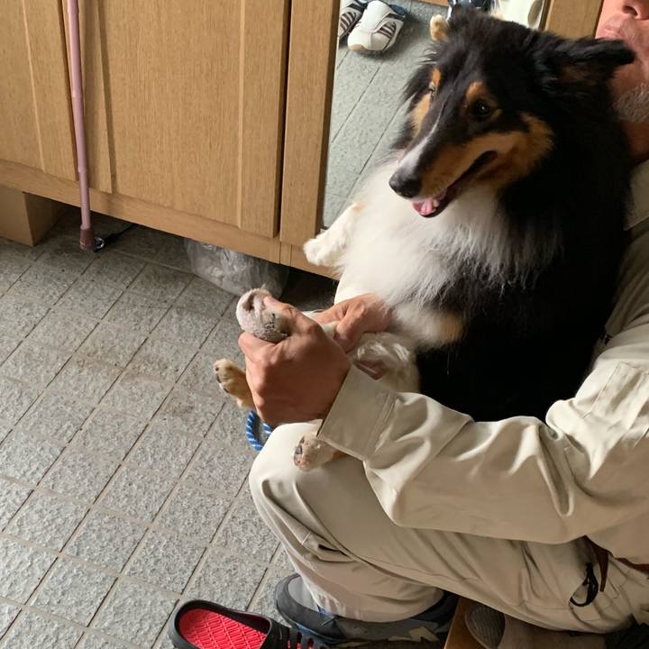 E40403e6 bbc9 406d 892c 8b19dd1899c0 1561327232727