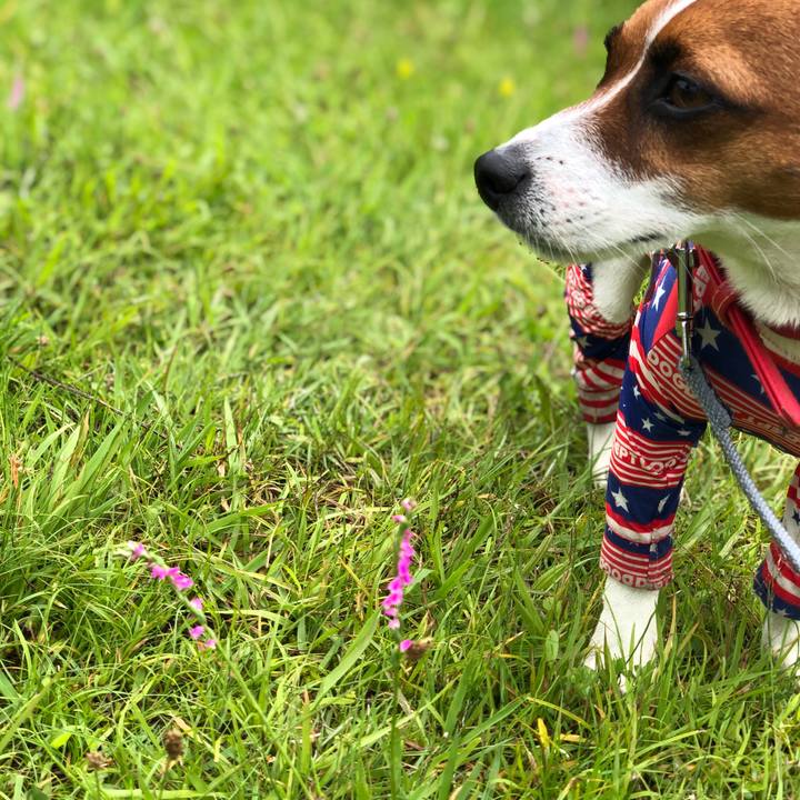 E4046d58 13a1 4fac 935f 407b9ea19bd9 1594711852366