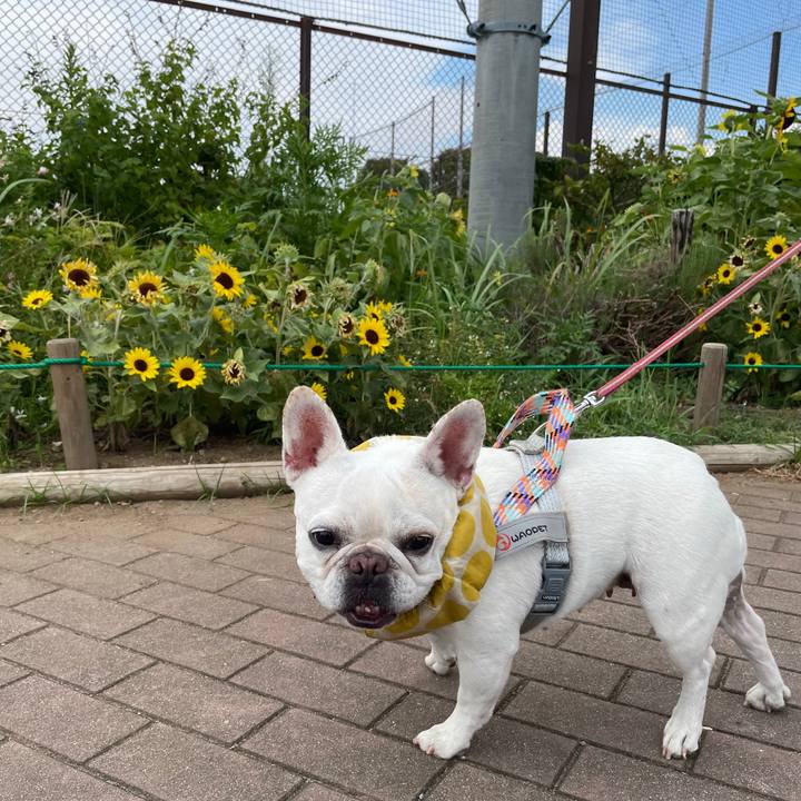 E4048fff 92b1 4028 b2f6 3e7454332a39 1754954654387