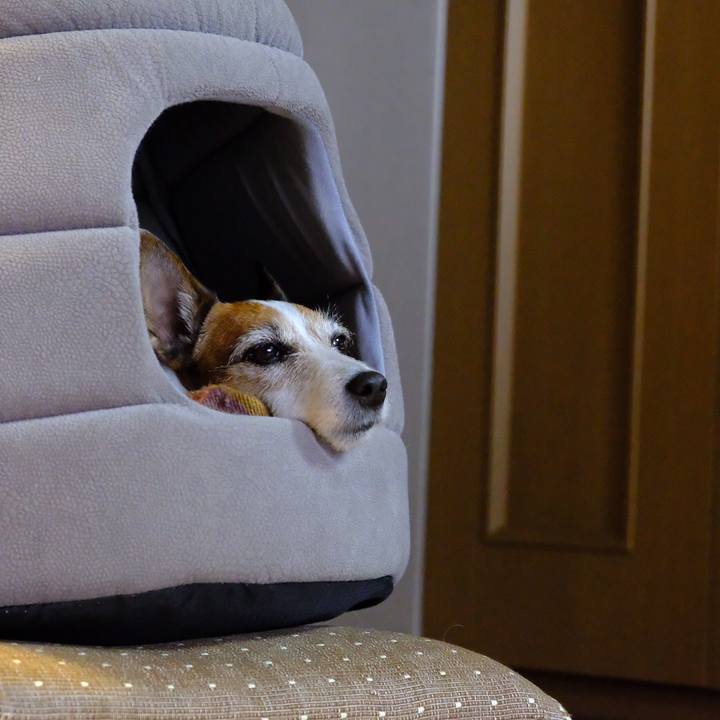 E404b5eb 2e9b 44f6 9abd be93f38ef1aa 1579558317492