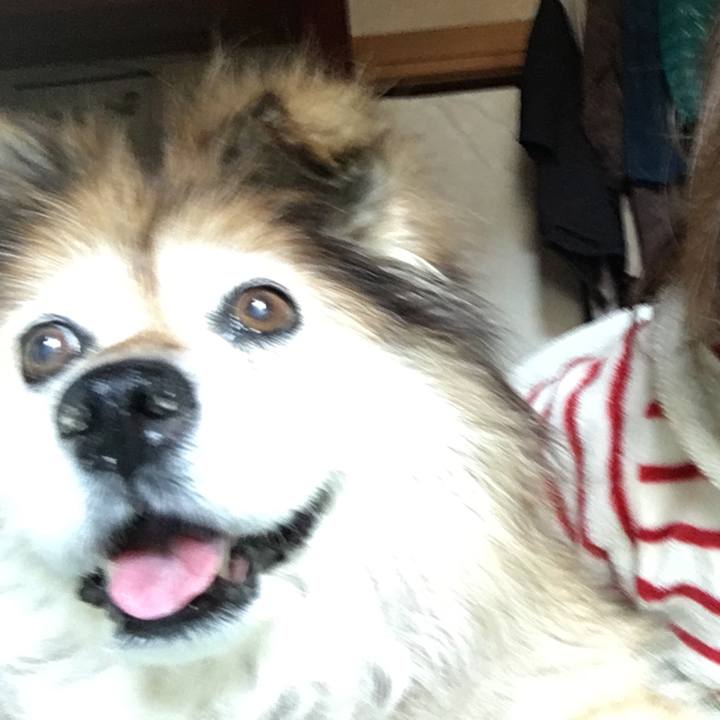 E404bc40 06ed 4824 96a7 590fadc28ee7 1551943167629