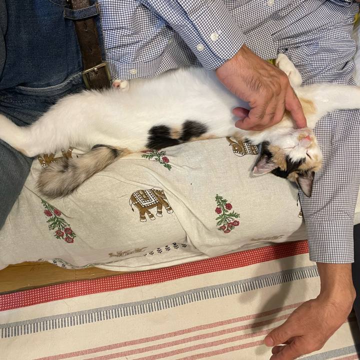 E404c7c4 0aec 4d36 871c 35e9d24720aa 1666223739768