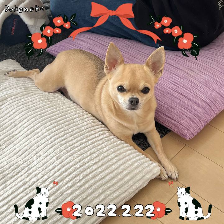 E4054244 dbbf 416e bd63 b4f2b0f97aa9 1645502188109