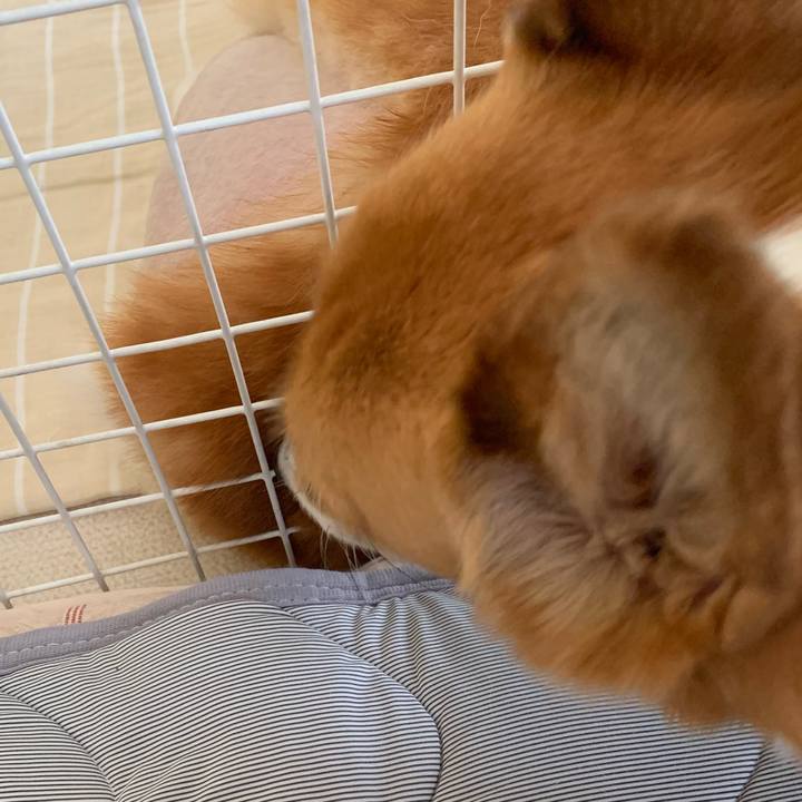 E4056ae8 7720 4e67 8423 0cb4266c2047 1688344788000